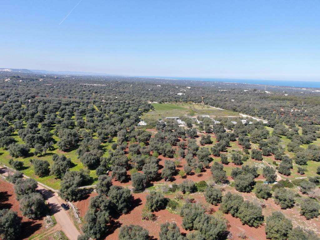 Terreno a Carovigno in SP34 - Foto 5