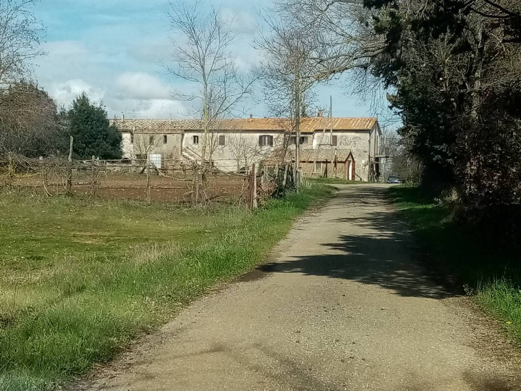 Rustico / casale a Sorano in Strada Provinciale Montorio - Foto 3