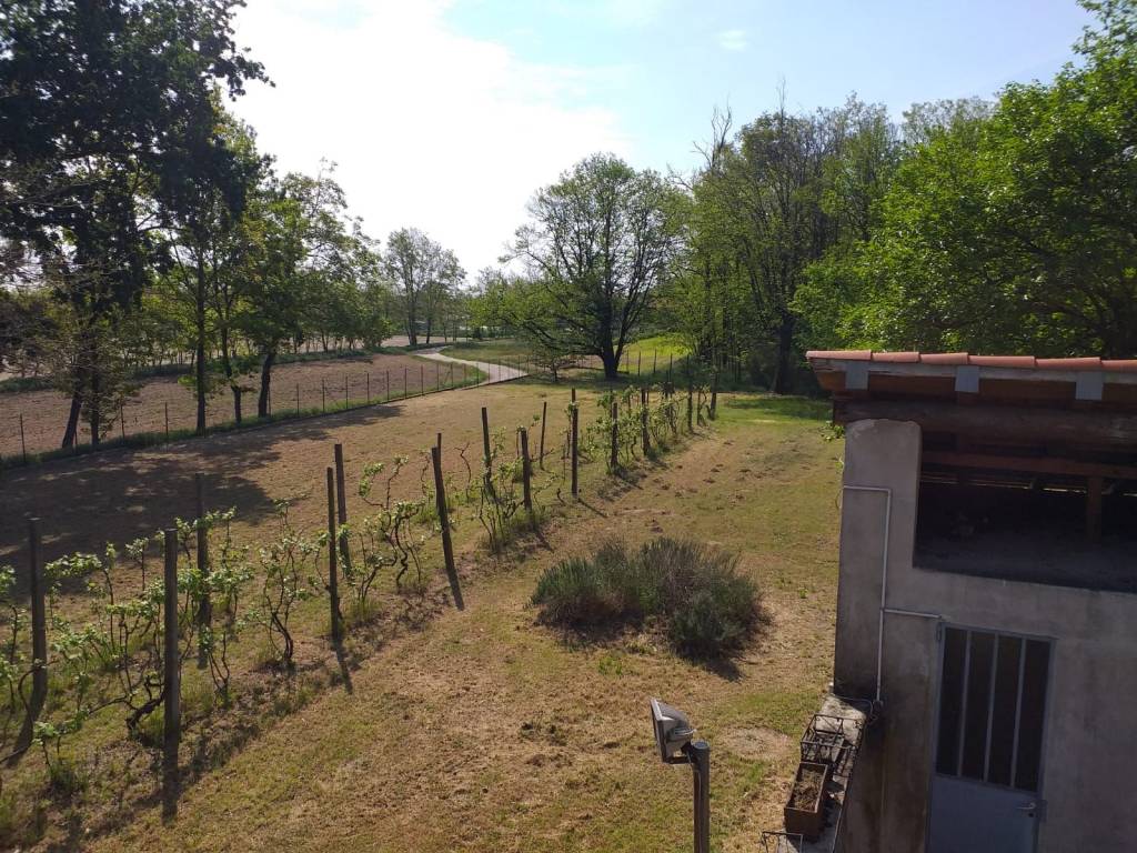 Rustico / casale a Vigevano in Viale Agricoltura - Foto 4