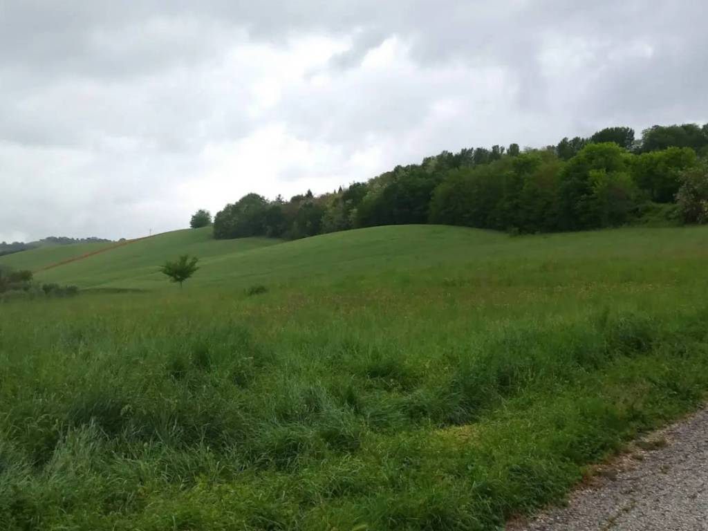 Terreno a Grottazzolina in Strada Nuova Provinciale - Foto 2