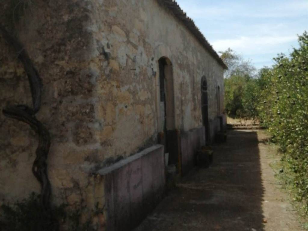 Terreno a Carlentini in C.DA CILLEPI - Foto 3