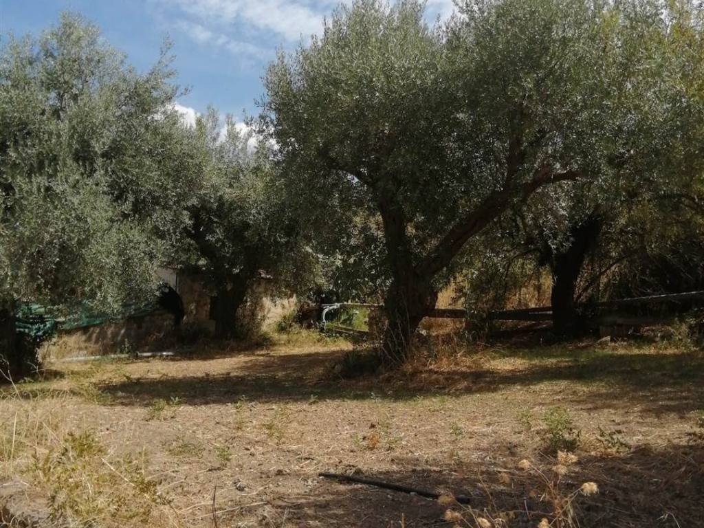 Terreno a Carlentini in C.DA CILLEPI - Foto 4