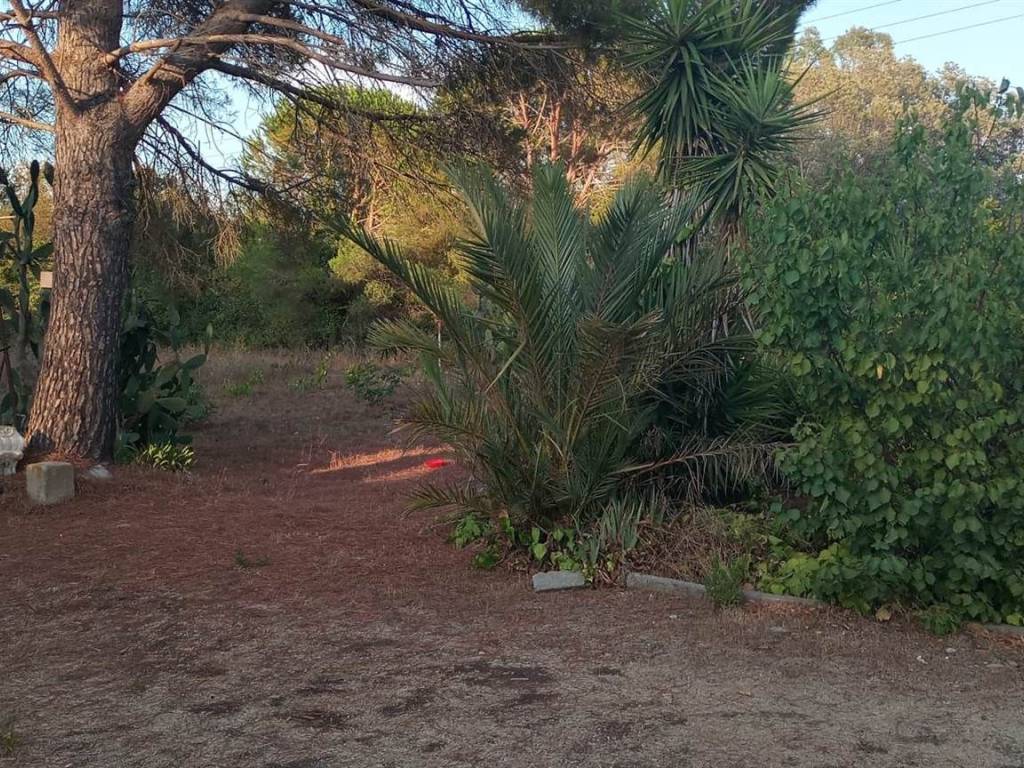 Rustico / casale a Piombino - Foto 2