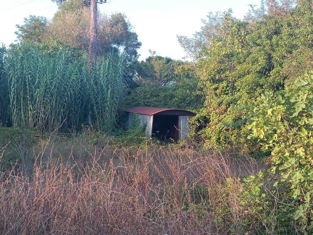 Rustico / casale a Piombino - Foto 4
