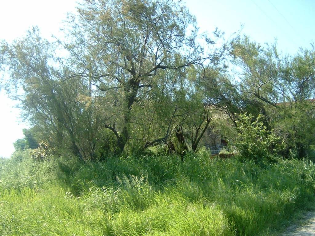 Casa indipendente a Senigallia - Foto 3