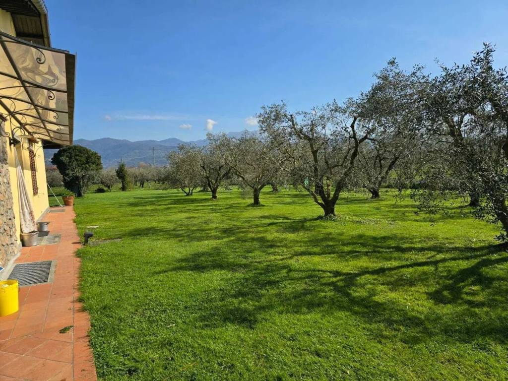 Villa a Sarzana in Viale Litoraneo - Foto 2