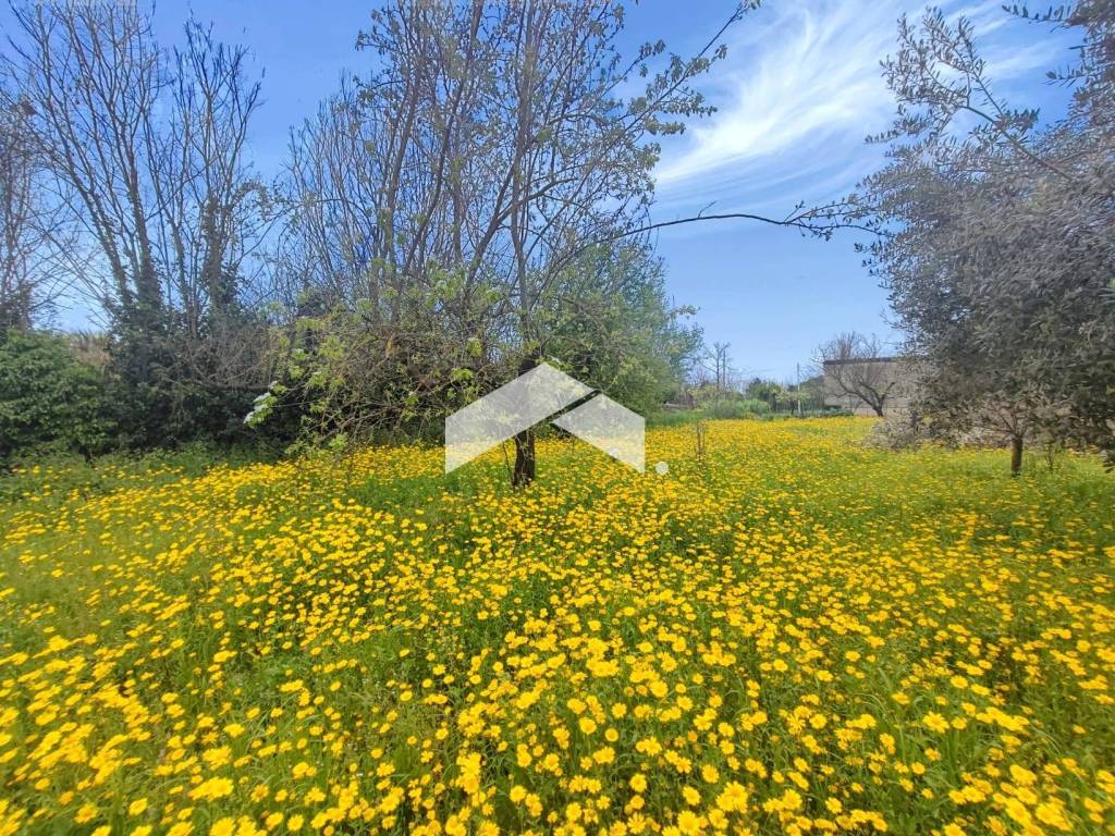 Villa a Somma vesuviana in Via Vignariello - Foto 4