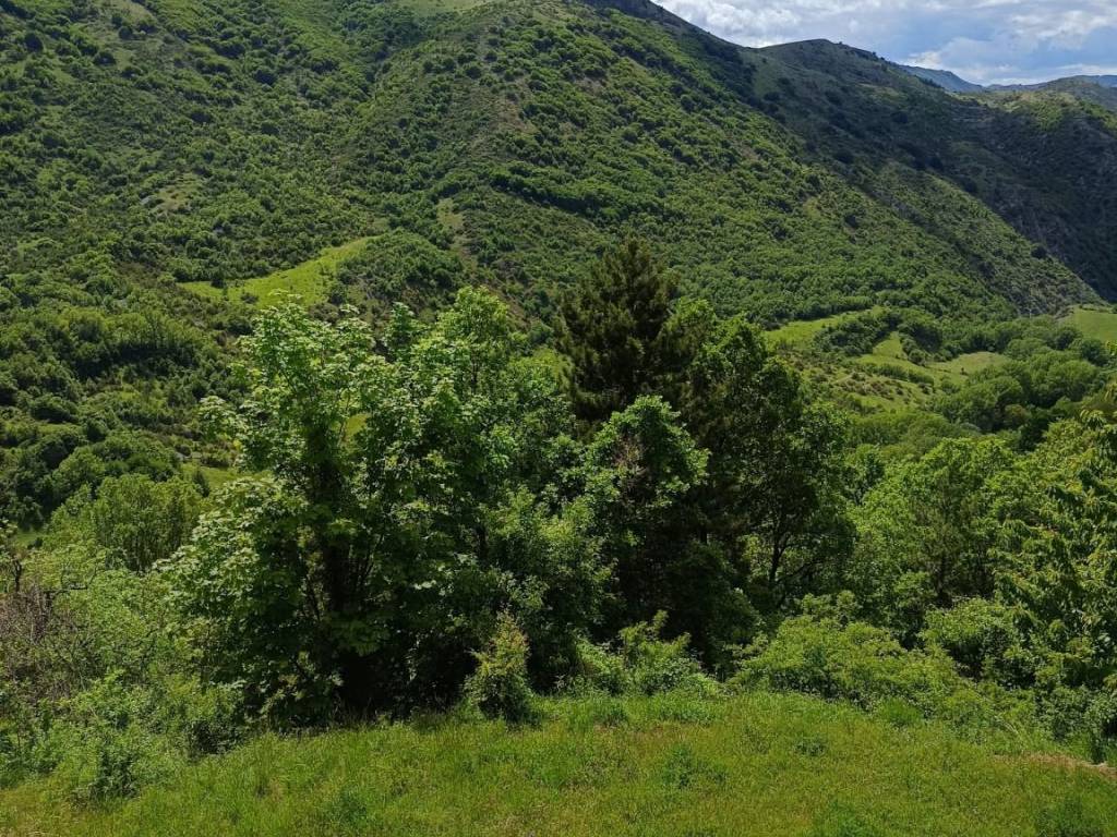 Appartamento a Lucoli in Via delle Betulle - Foto 3