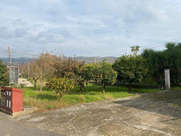 Rustico / casale a Alvignano - Foto 5