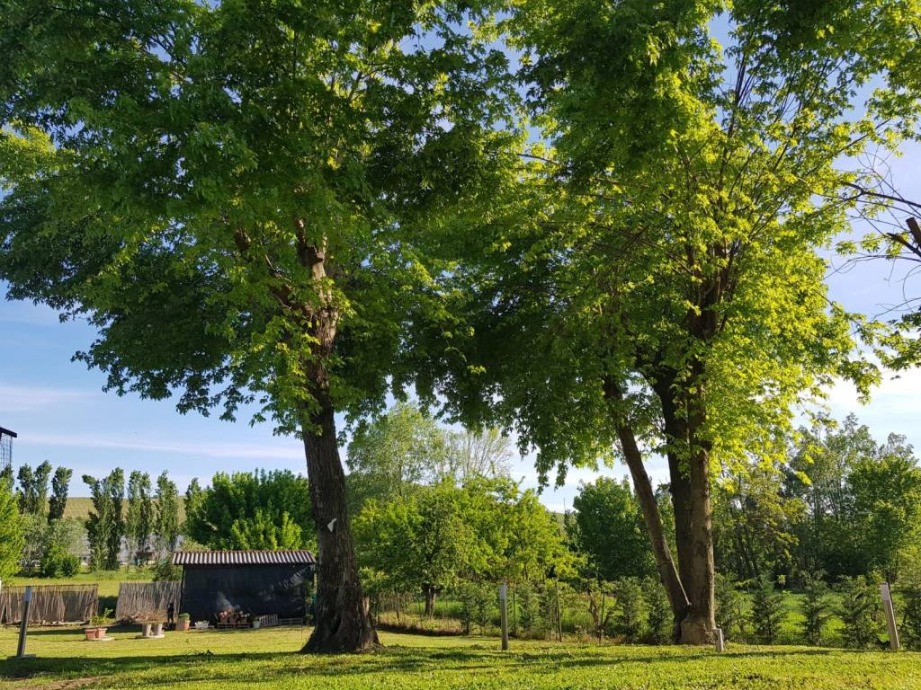Villa a Canale in Corso Asti - Foto 3
