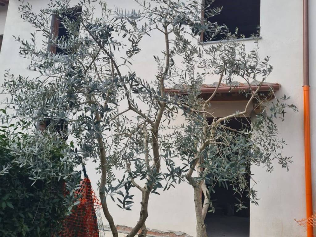 Villetta a schiera a Capannori in Stradone di Camigliano - Foto 2