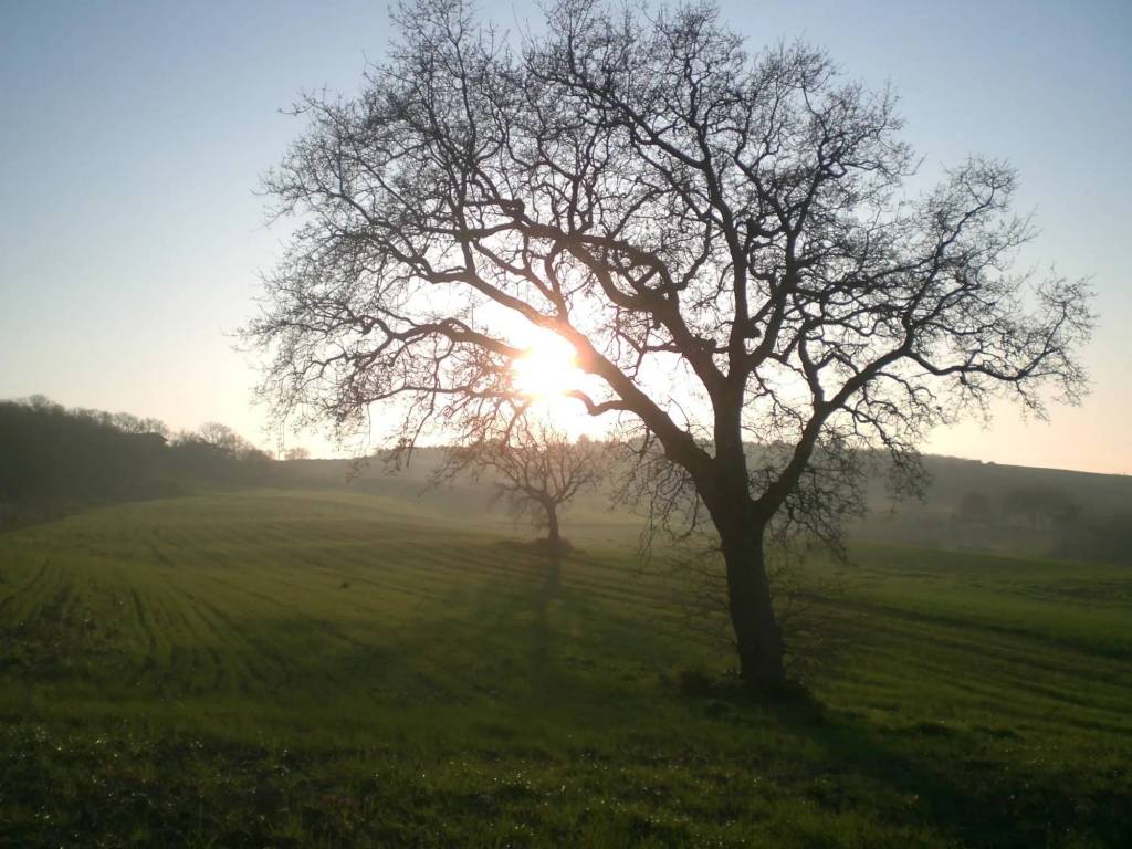 Terreno a Termoli in Contrada Fucilieri - Foto 2