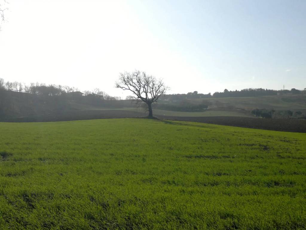 Terreno a Termoli in Contrada Fucilieri - Foto 4