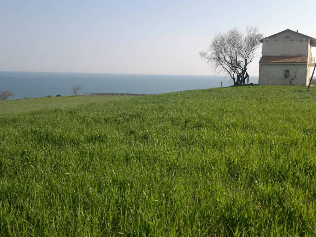 Terreno a Termoli in Contrada Fucilieri - Foto 5