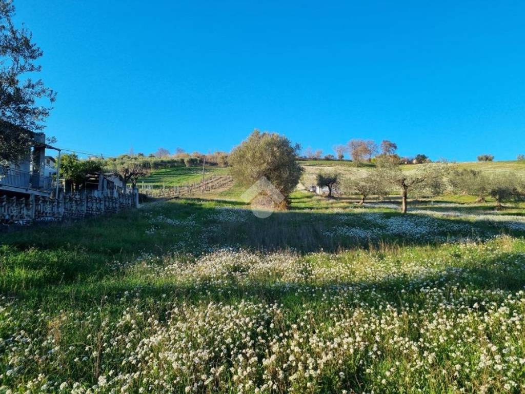 Terreno a Castellalto in Via G. Ungaretti, 1 - Foto 2