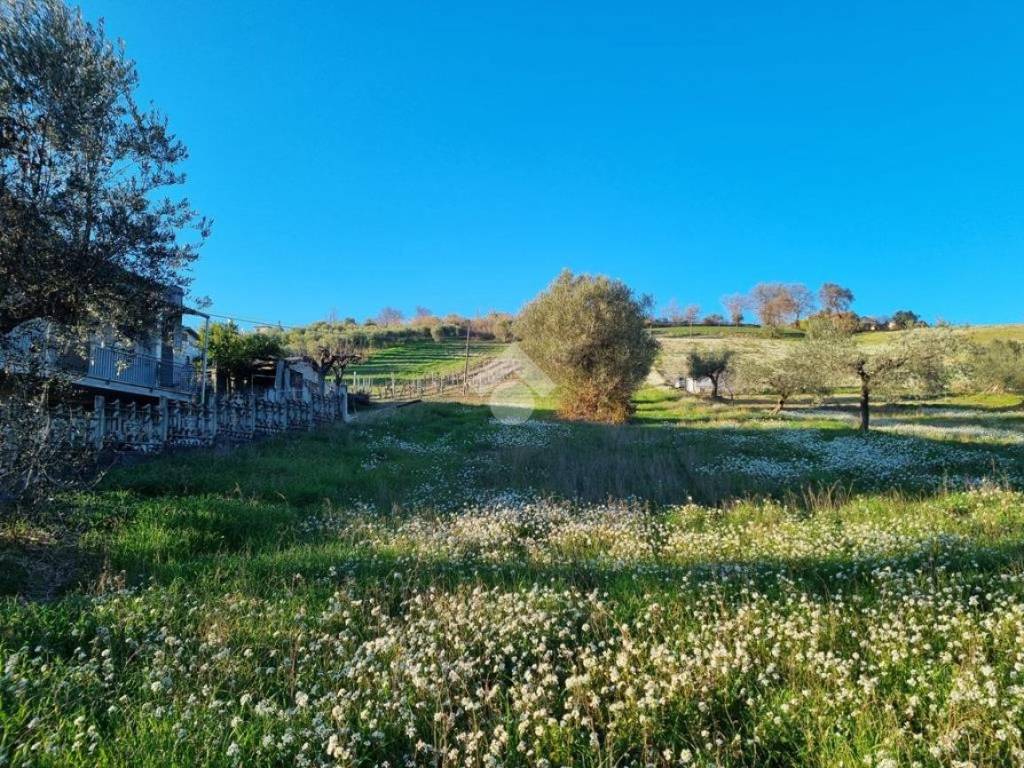 Terreno a Castellalto in Via G. Ungaretti, 1 - Foto 3