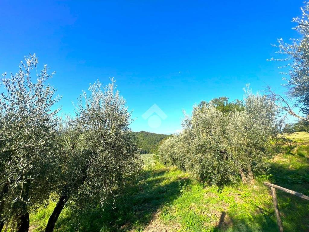 Box / garage a Forano in Via dei Gradini - Foto 2