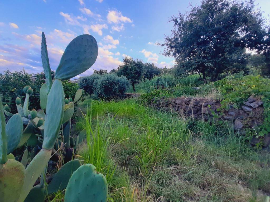 Terreno a Giarre in Via Coriolano - Foto 5