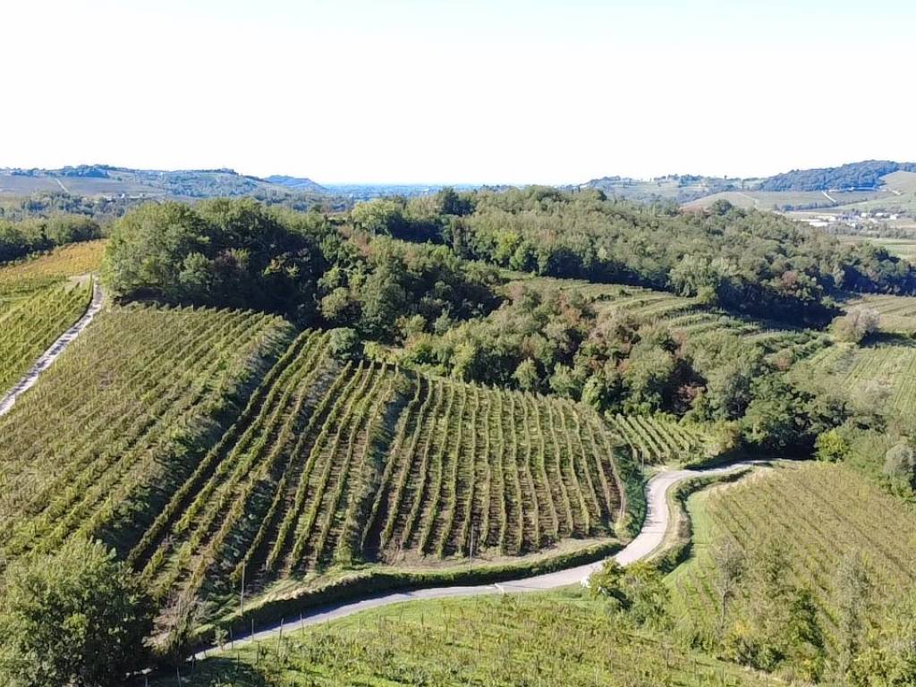 Rustico / casale a Dolegna del collio in Località Quarnizza - Foto 5