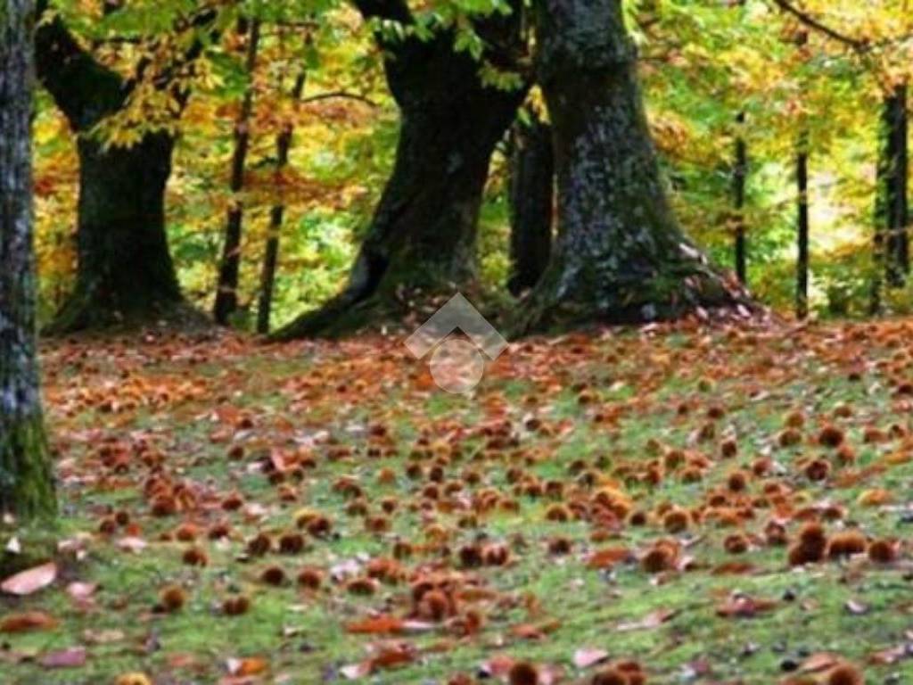 Terreno a Cervinara in via mafariello - Foto 3