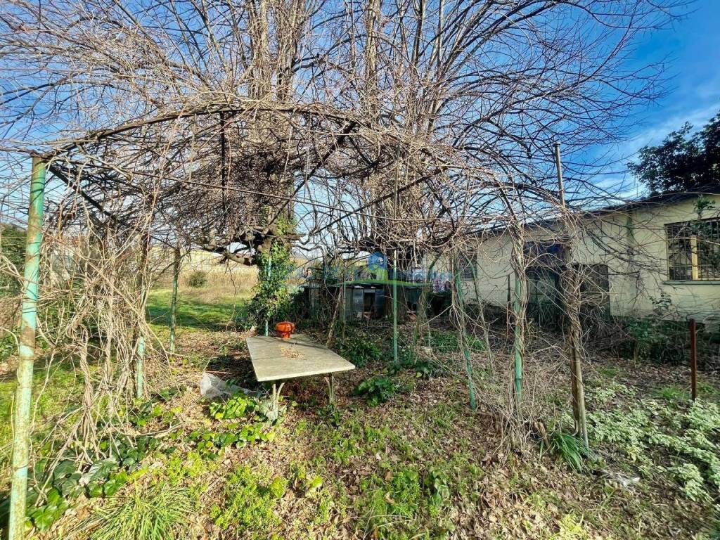 Terreno a Pieve a nievole in Via Empolese, 25 - Foto 3