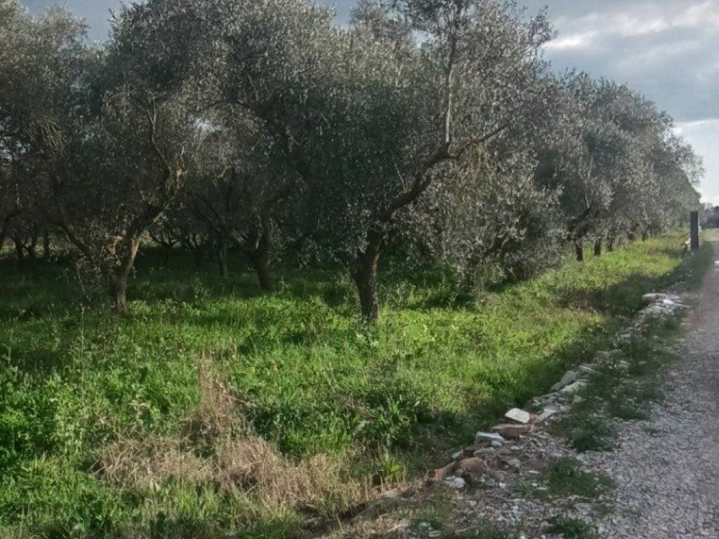Terreno a Casal velino in Via Isca di Porzia - Foto 2