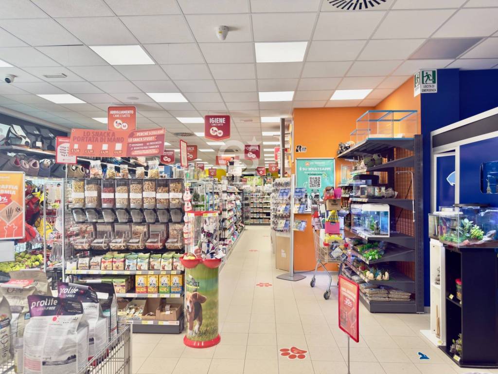 Immobile a Barletta in VIA RUGGERO VITRANI - Foto 3