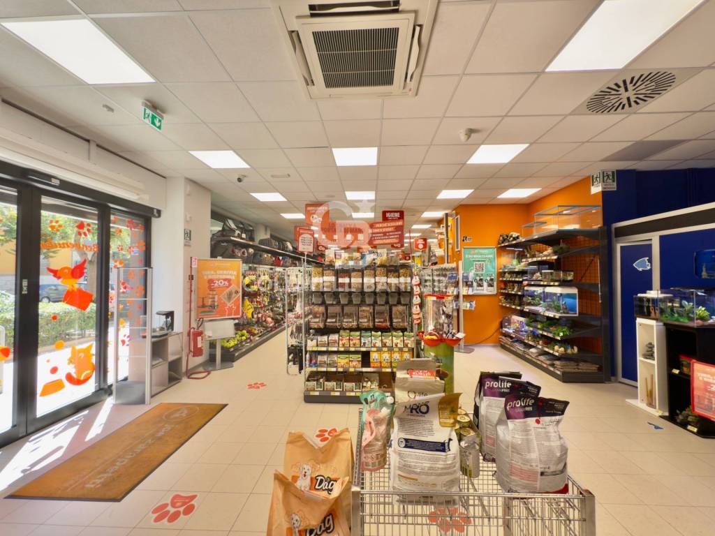 Immobile a Barletta in VIA RUGGERO VITRANI - Foto 4