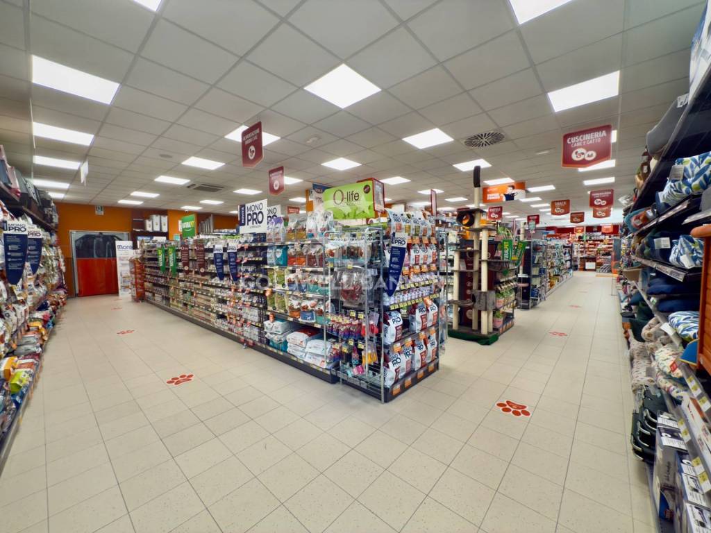 Immobile a Barletta in VIA RUGGERO VITRANI - Foto 5