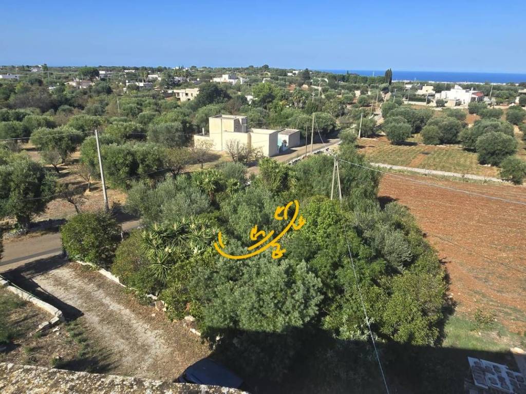 Rustico / casale a Monopoli in CONTRADA CRISTO RE - Foto 3