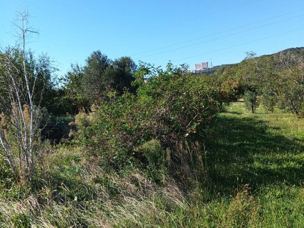Terreno a Trieste in Strada della Rosandra - Foto 2