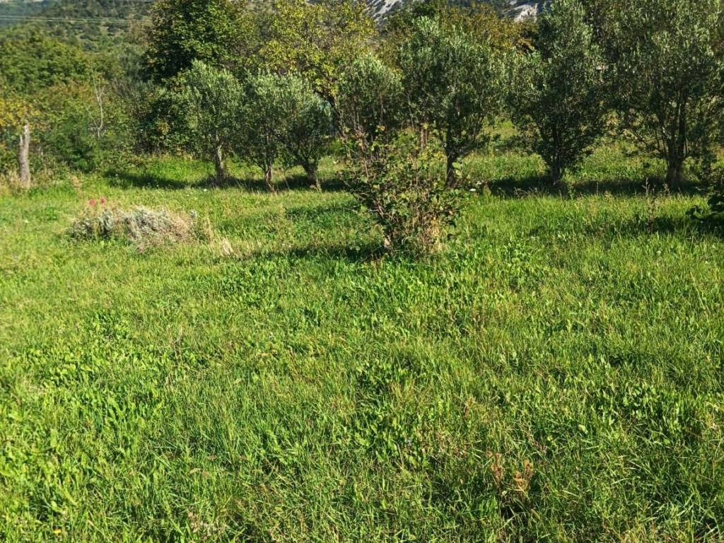 Terreno a Trieste in Strada della Rosandra - Foto 3