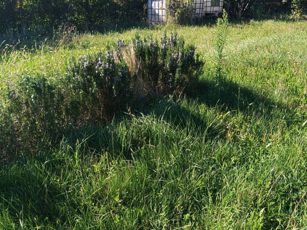 Terreno a Trieste in Strada della Rosandra - Foto 5