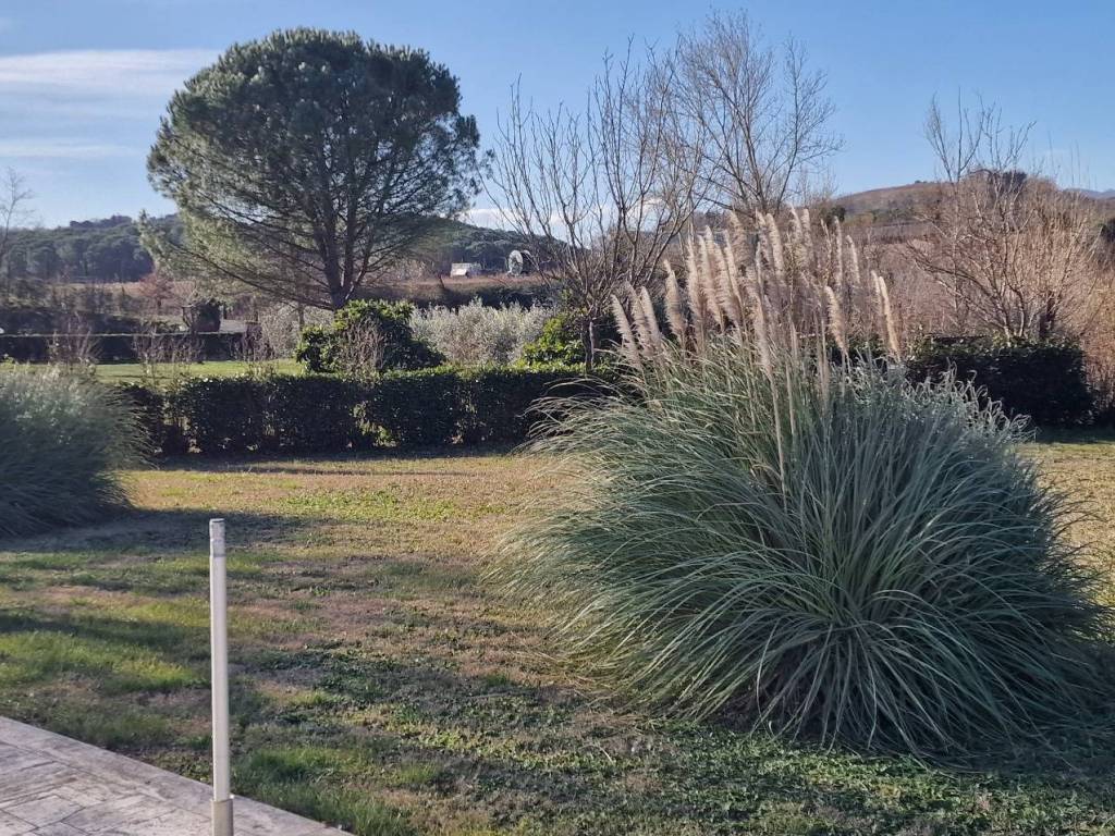 Rustico / casale a Terricciola in Via Sarzanese Valdera - Foto 3