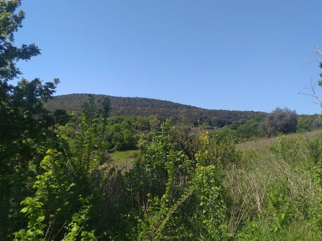 Terreno a Amelia in Via Rimembranze - Foto 2