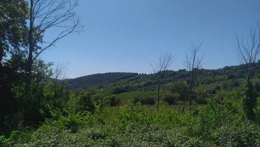 Terreno a Amelia in Via Rimembranze - Foto 4
