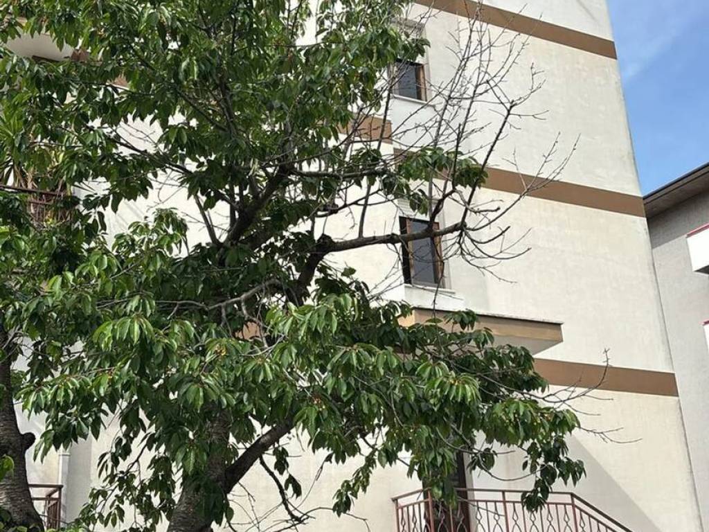 Appartamento a Lanciano in Via Ferdinando Cipollone, 8 - Foto 3