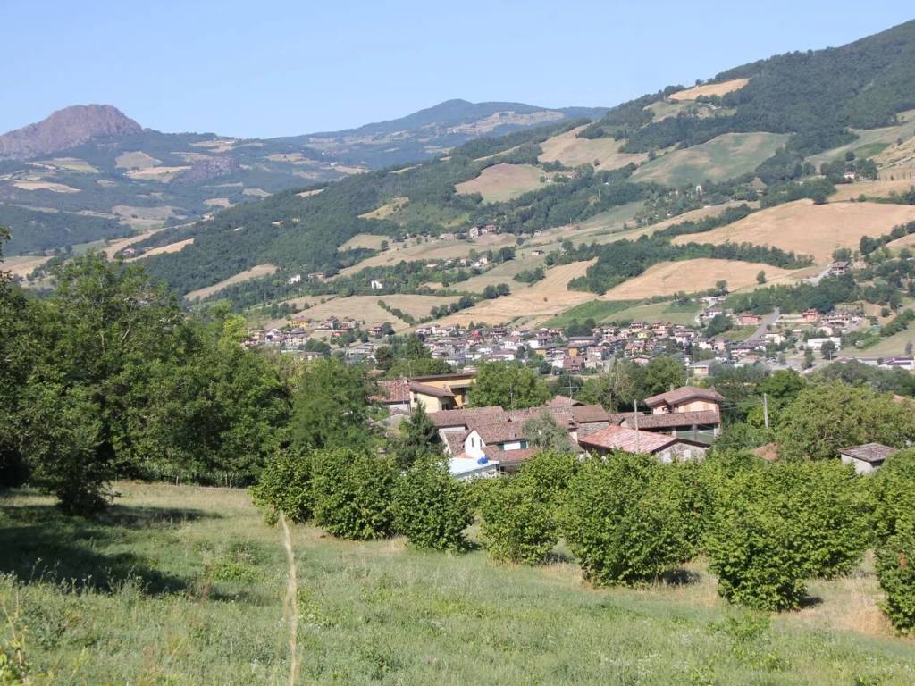 Terreno a Travo in Località Coni - Foto 3