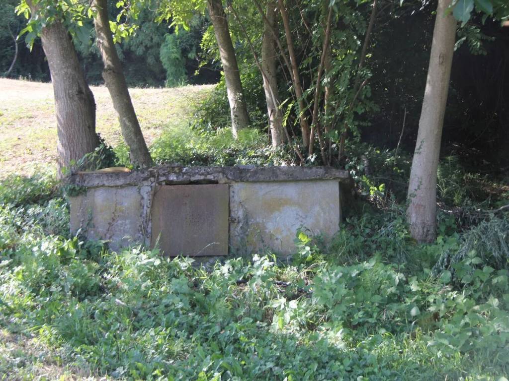 Terreno a Travo in Località Coni - Foto 4