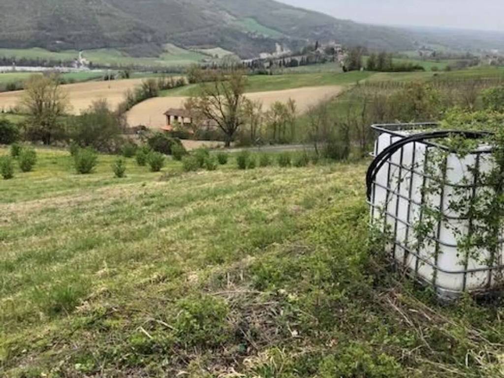 Terreno a Travo in Località Coni - Foto 5