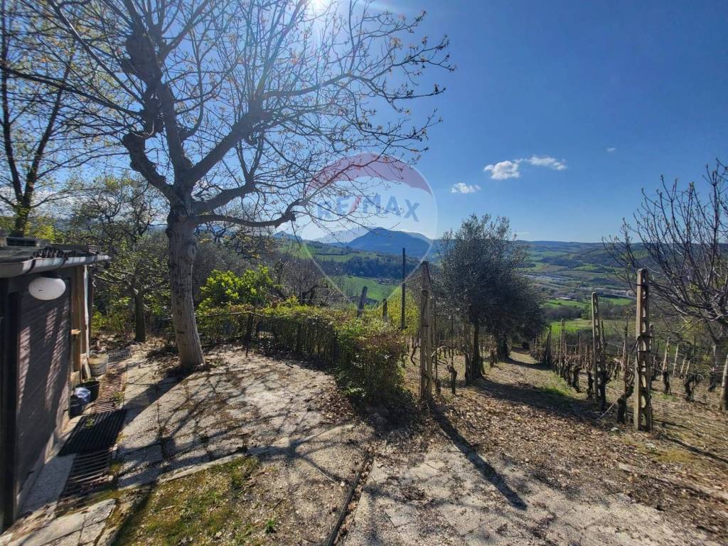 Terreno a Cupramontana in Cantalupo - Foto 3