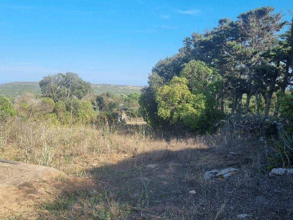 Villa a Santa teresa gallura in Marazzino - Foto 5