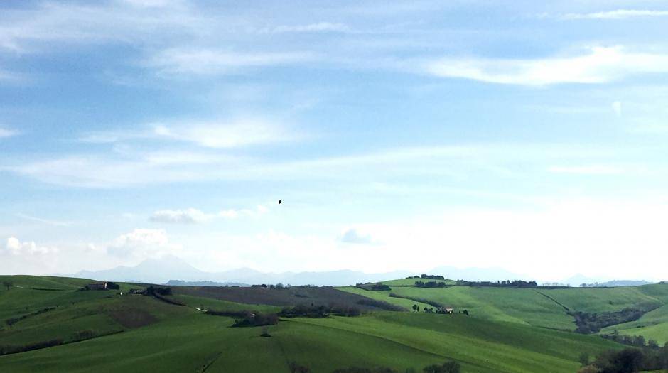 Rustico / casale a Belvedere ostrense - Foto 2