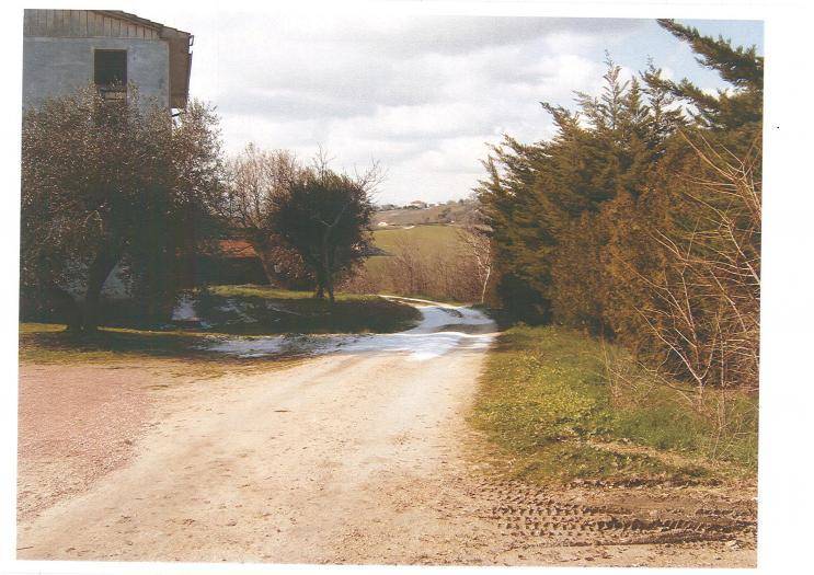 Casa indipendente a Belvedere ostrense - Foto 2