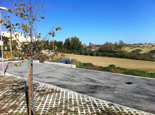 Terreno a Trecastelli - Foto 2