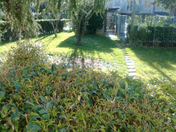 Casa indipendente a Trecastelli - Foto 3