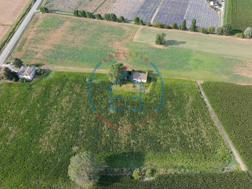 Terreno a Montagnana in Via Sant'Antonio - Foto 4