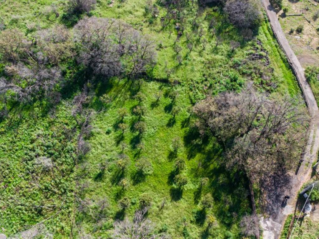 Terreno a Valverde in Via Dei Lillà - Foto 3