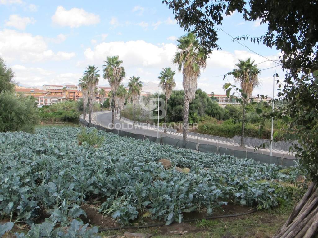 Terreno a Fiumefreddo di sicilia in via Badalà, 31 - Foto 3