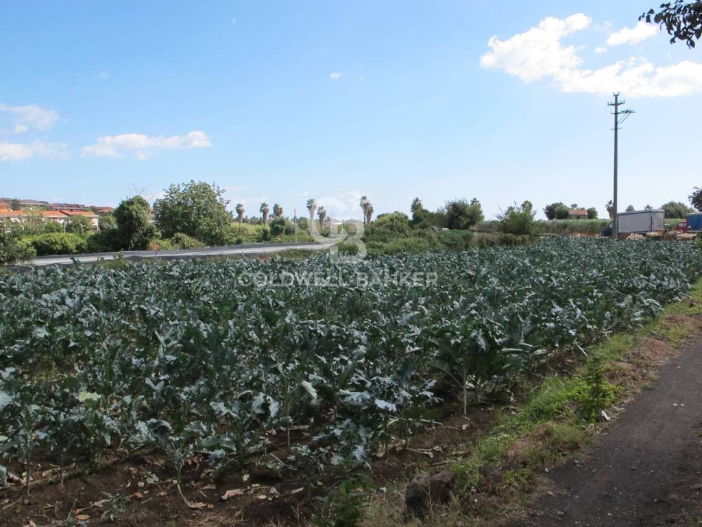 Terreno a Fiumefreddo di sicilia in via Badalà, 31 - Foto 4